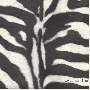 stoff-zebra-10038.jpg